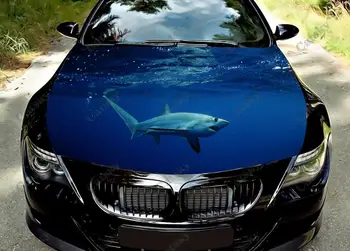 Виниловые наклейки на капот автомобиля Sharks Оберните Виниловой пленкой Наклейки на крышку двигателя Универсальная Защитная пленка на Капот автомобиля